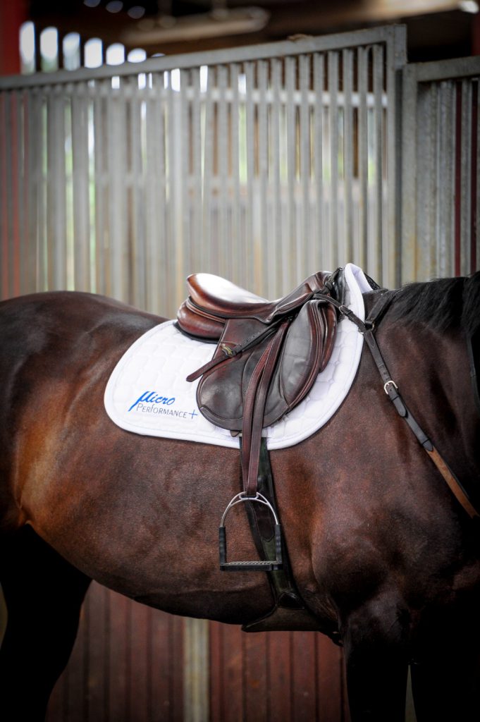 THE WINDRUSH EQUESTRIAN FOUNDATION ANNOUNCES COLLABORATION WITH HIGH PERFORMANCE EQUESTRIAN COMPANY MICROPERFORMANCE+